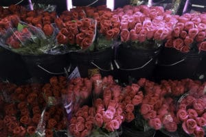 Asstd Roses $24.95 per dozen