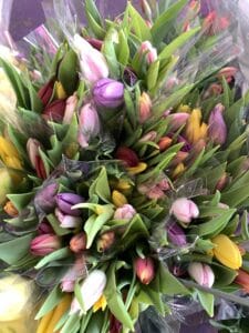 Tulips $12.95 per bunch
