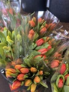 Tulips $14.95 per bunch