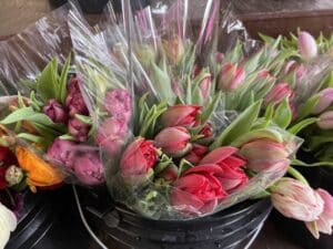 Double Tulips $2.00 per stem